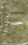 1979-No-Mintmark-Talons-On-Eagle-On-Reverse-Quarter